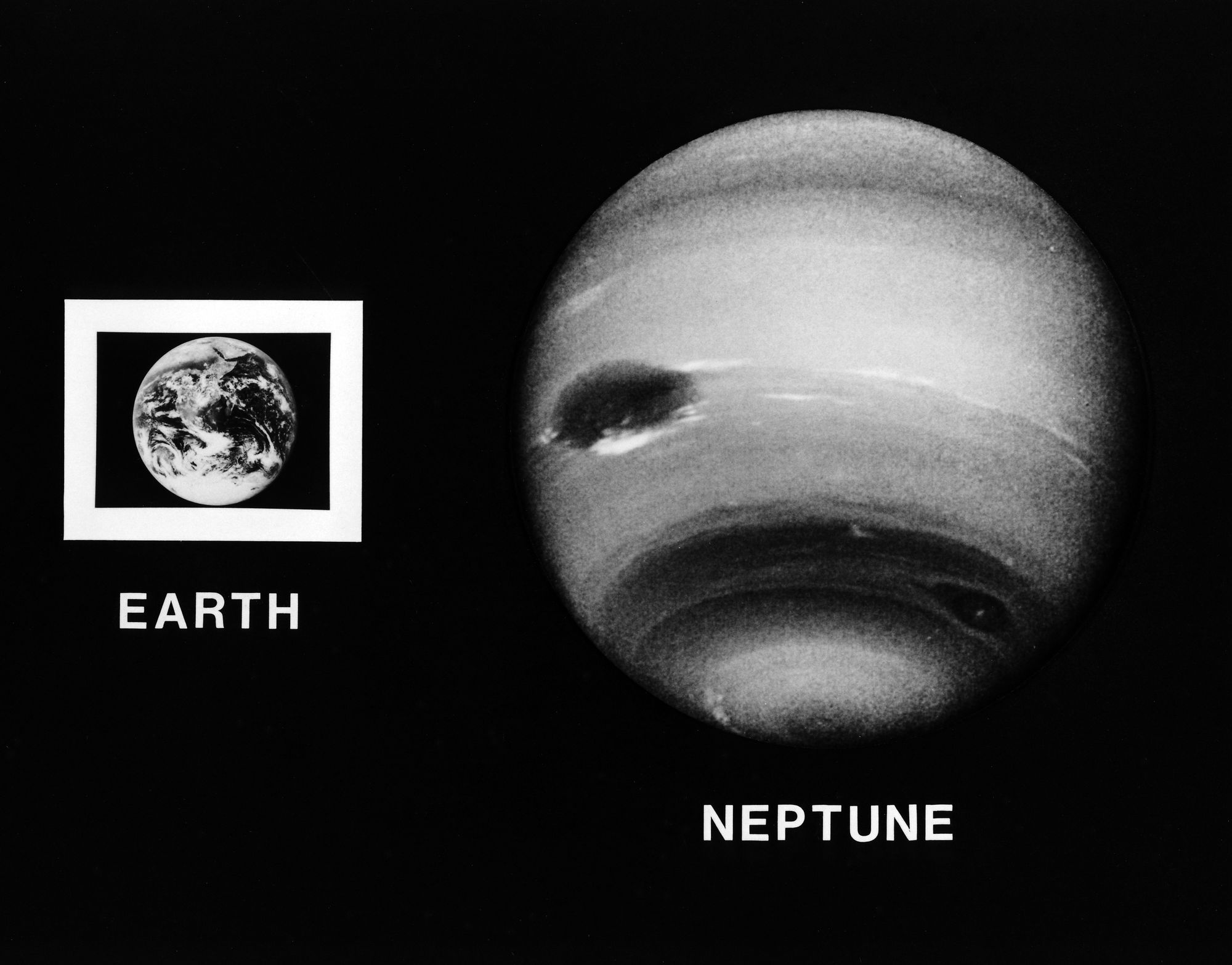 Neptune and the Earth are shown at the same scale.  The diameter of Neptune is 4
